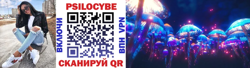 Купить закладки  Нерюнгри  Галлюциногенные грибы прущие грибы 