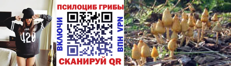 Галлюциногенные грибы MAGIC MUSHROOMS Нерюнгри
